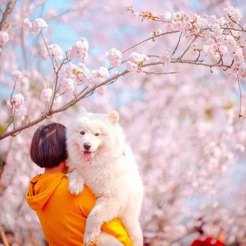 悠适KTV招聘启事,服务员、歌手等职位等你来挑战!