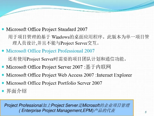2003版本word,项目管理推进方案&GM版_v5.694